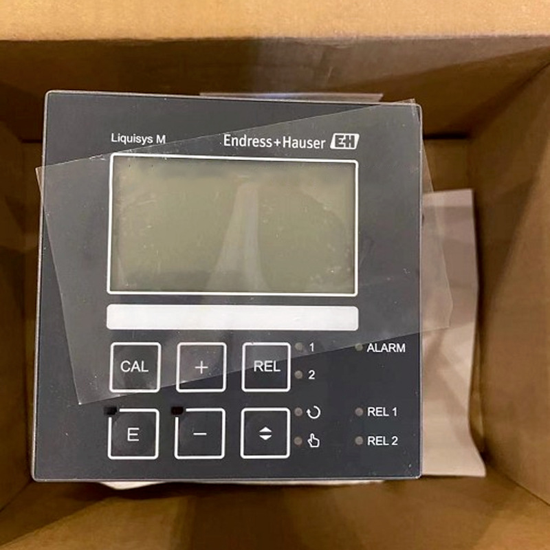 E+H CPM223